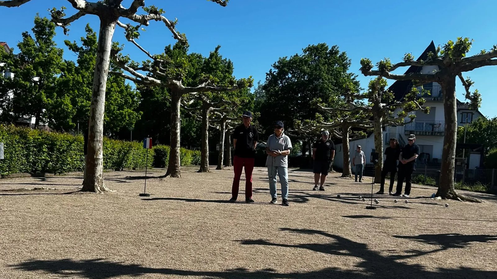Spielerinnen und Spieler auf unserem Bouleplatz unter Platanen